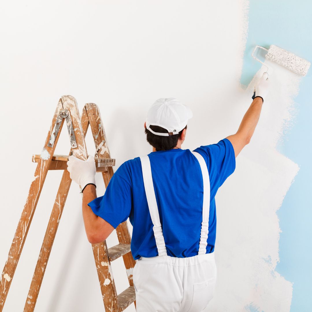 professional painting services in Dubai by no sweat maintenance